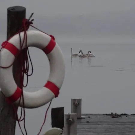 Romantische Im Herrenhaus Wuestenhain Spreewald *