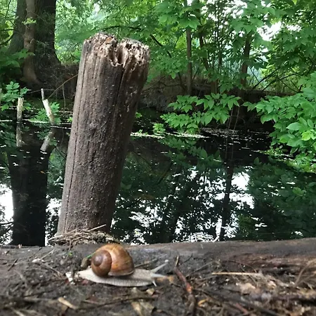 Homestay Romantische Im Herrenhaus Wuestenhain Spreewald *