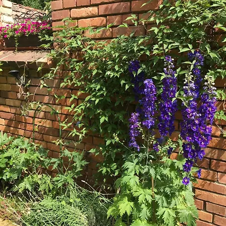 Romantische Im Herrenhaus Wuestenhain Spreewald Homestay *