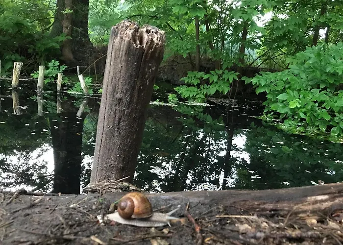 Habitación en casa particular Romantische Im Herrenhaus Wüstenhain Spreewald *