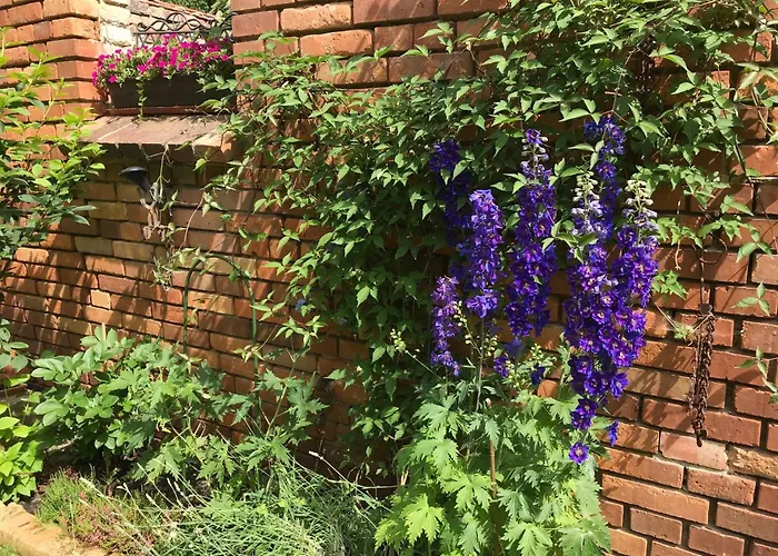 Romantische Im Herrenhaus Wüstenhain Spreewald Habitación en casa particular *